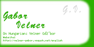 gabor velner business card